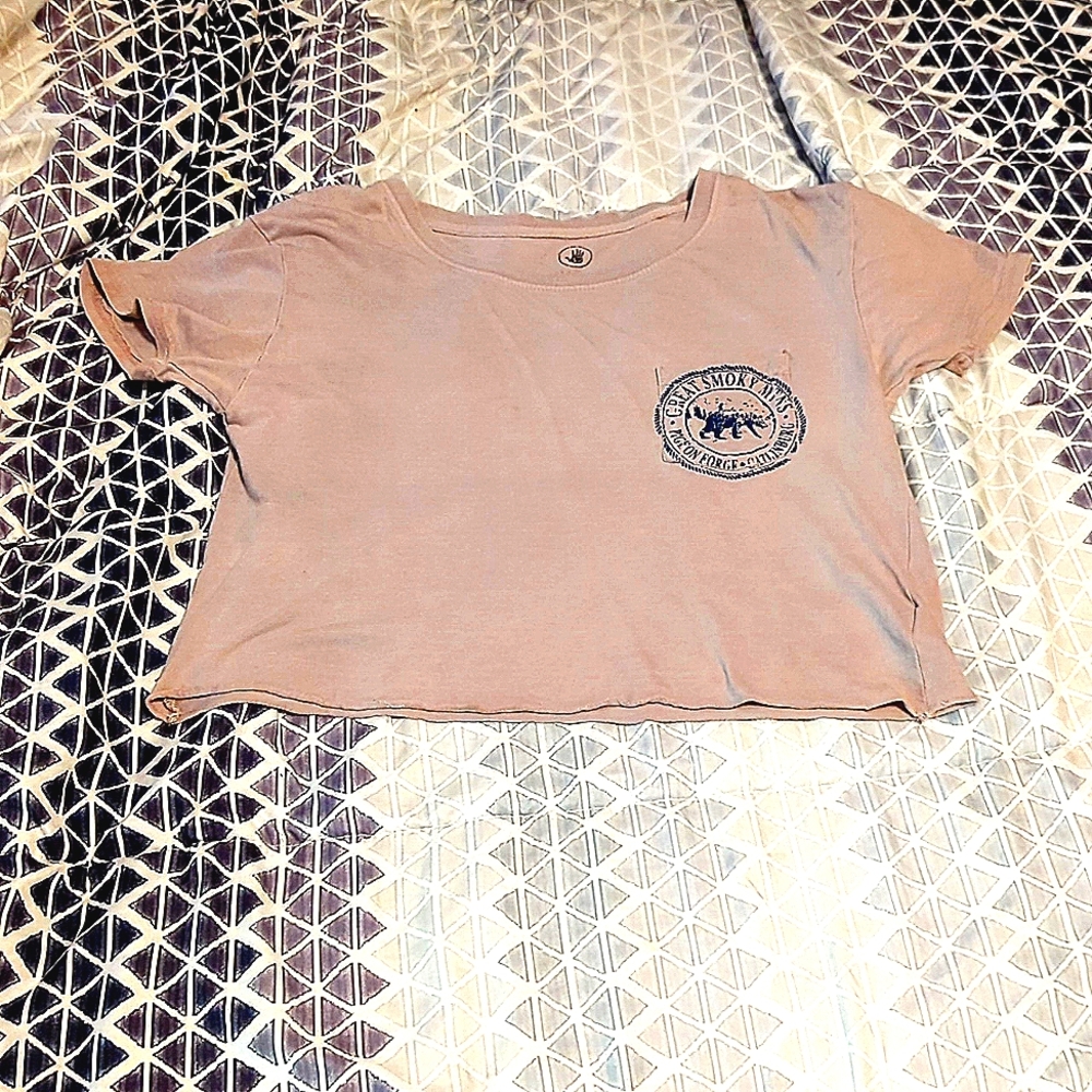 Pink-Purplish Gatlinburg crop top